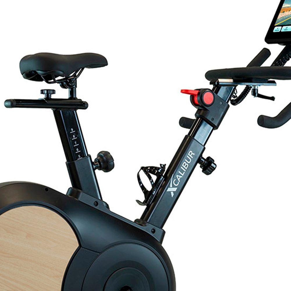 BH FITNESS Indoor Cycling Xcalibur Multimedia - immagine 3