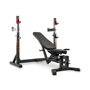 BH FITNESS Panca Multi posizione ADJUSTABILE PRESS G510